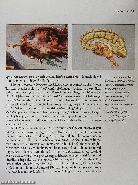 Az igazi Michelangelo-kód