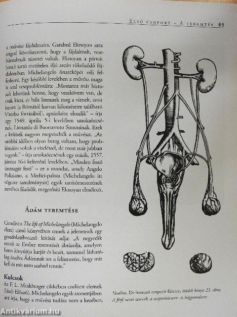 Az igazi Michelangelo-kód