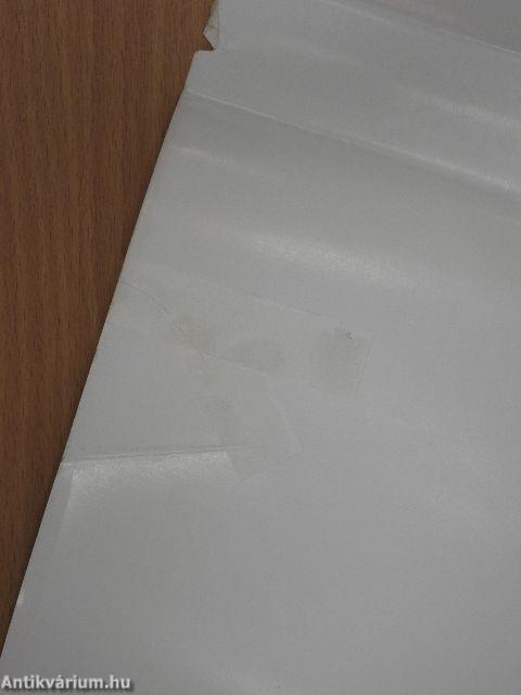 A logika fejlődése