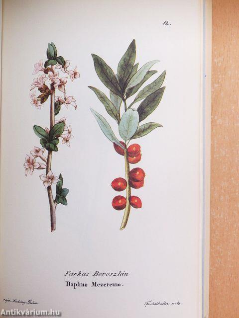 Magyarországi mérges növények