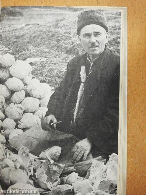 Bács-Kiskunból jövök