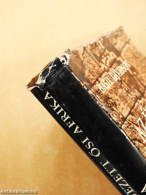 Az újra felfedezett ősi Afrika/A fekete anya