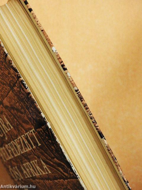 Az újra felfedezett ősi Afrika/A fekete anya