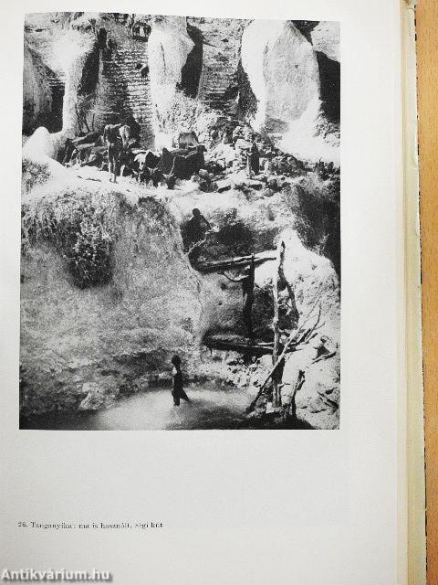 Az újra felfedezett ősi Afrika/A fekete anya