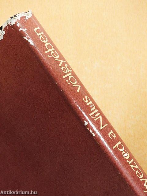 Egy évezred a Nílus völgyében