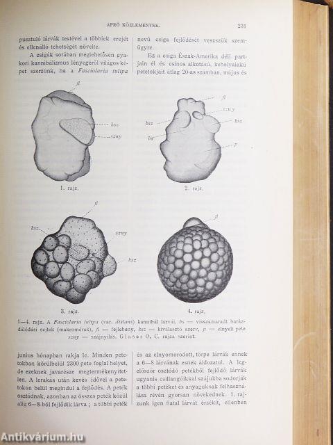 Természettudományi Közlöny 1906. január-december/Pótfüzetek a Természettudományi Közlönyhöz 1906. január-december