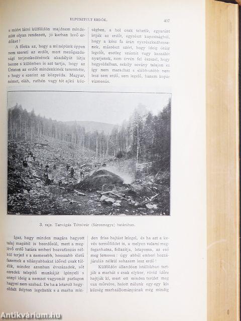 Természettudományi Közlöny 1906. január-december/Pótfüzetek a Természettudományi Közlönyhöz 1906. január-december
