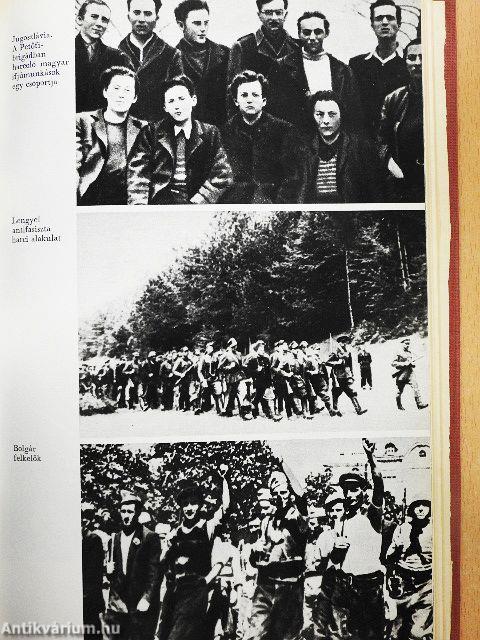 A nemzetközi munkásmozgalom története 1830-1945