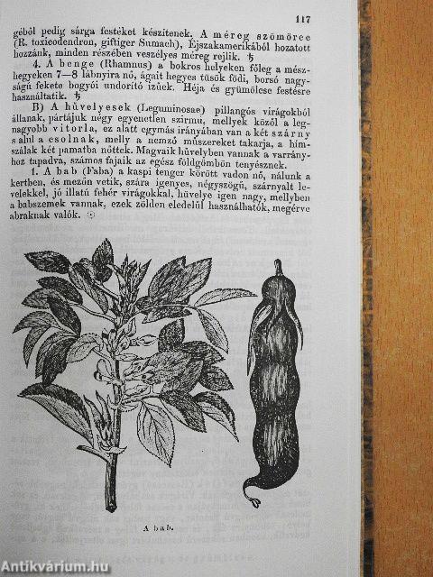 A természetrajz elemei