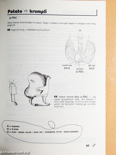 Huron's nagy szótanulós könyv