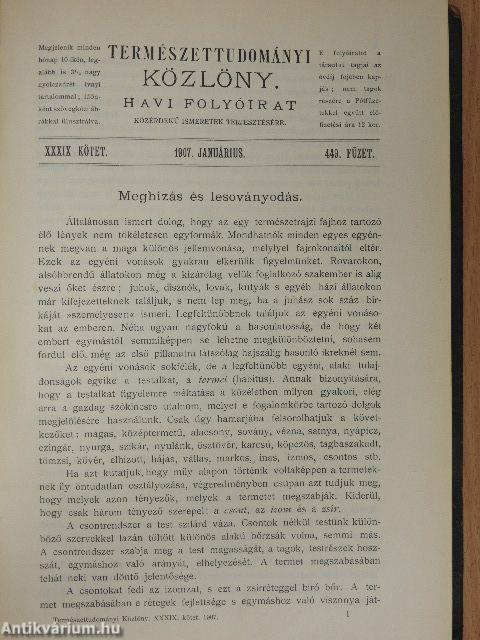 Természettudományi Közlöny 1907. január-december/Pótfüzetek a Természettudományi Közlönyhöz 1907. január-december