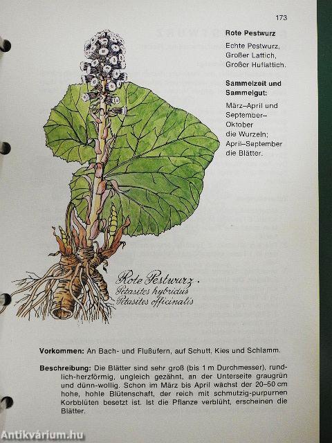 Aus der Apotheke Gottes