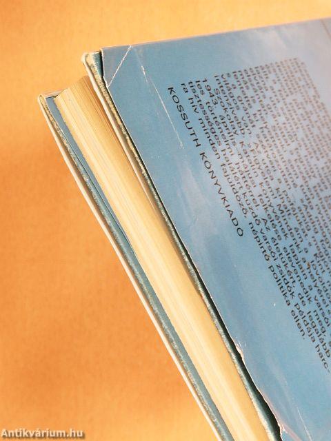 És a varsói gettó felkelt...