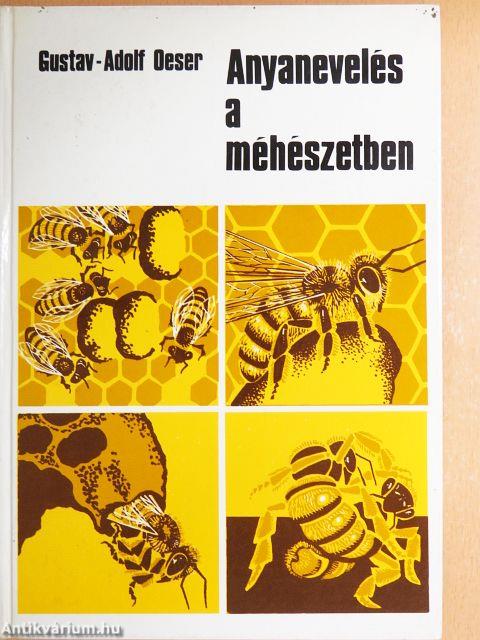 Anyanevelés a méhészetben