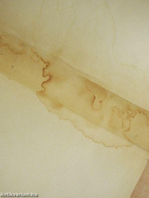 II. Rákóczi György