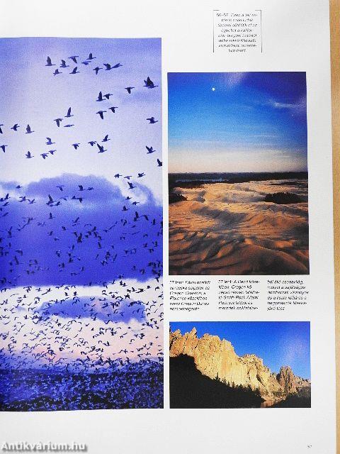 Észak-Amerika természeti csodái