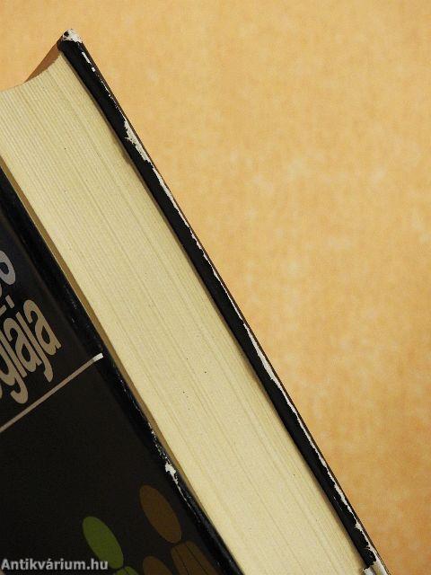 A deviáns viselkedés szociológiája