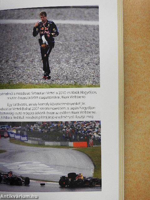Sebastian Vettel - Út a csúcsra
