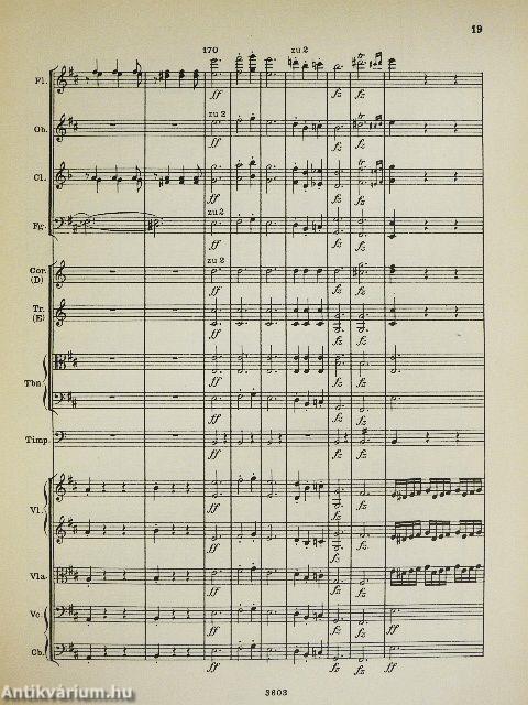 Symphonie Nr. 8 h moll