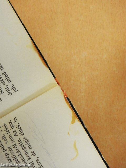 A vitéz szabólegény