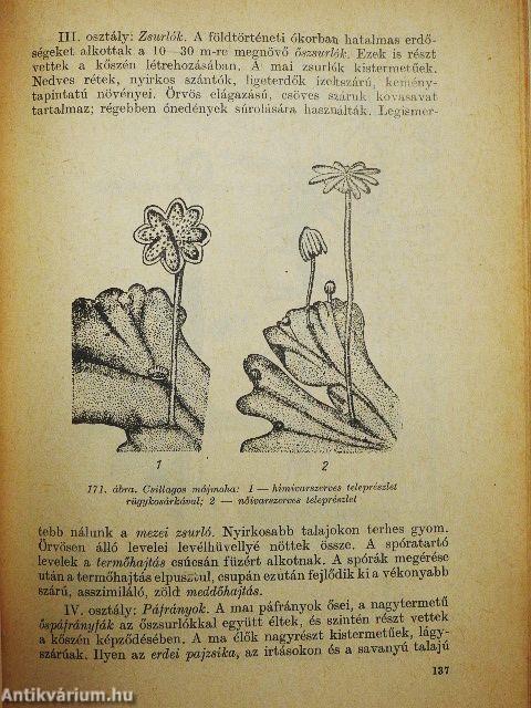 A növény élete és környezete