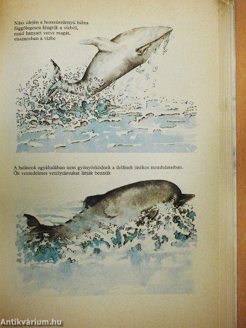 A mészárlás tengere