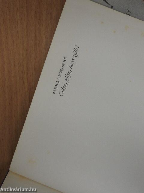 Gólya, gólya, hazaszállj!