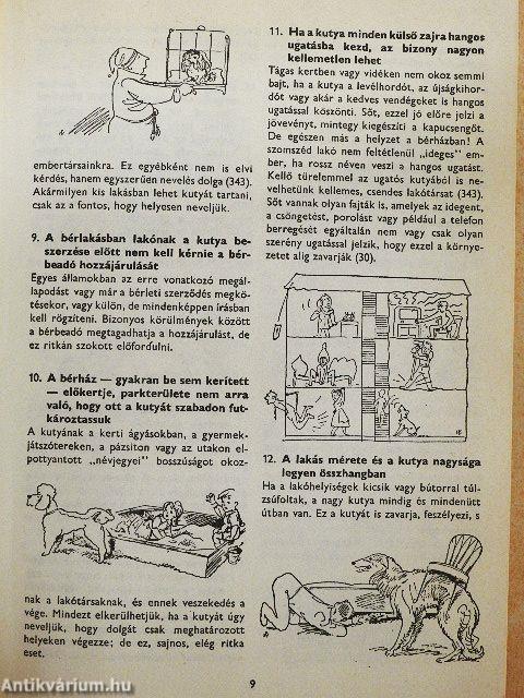 400 tanács kutyakedvelőknek