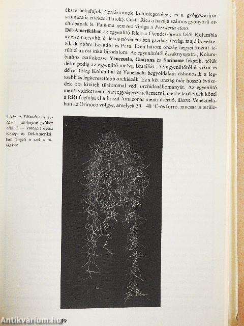 Orchideák és broméliák