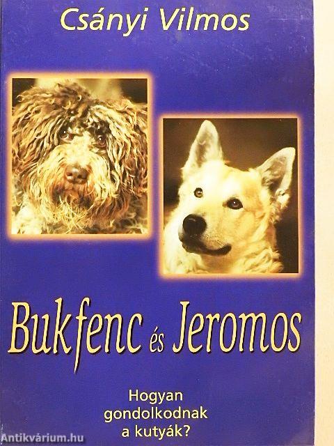 Bukfenc és Jeromos