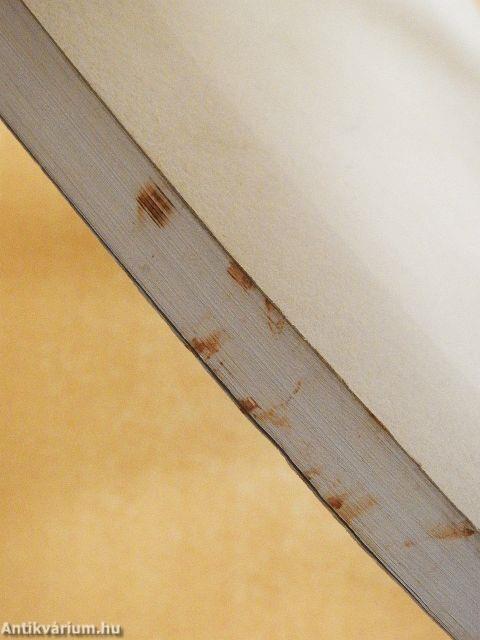 Tíz éves az Alkotmánybíróság