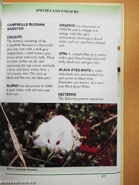 Pet Owner's Guide to the Hamster