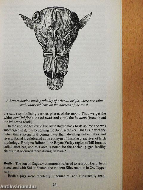 A Guide to Irish Mythology