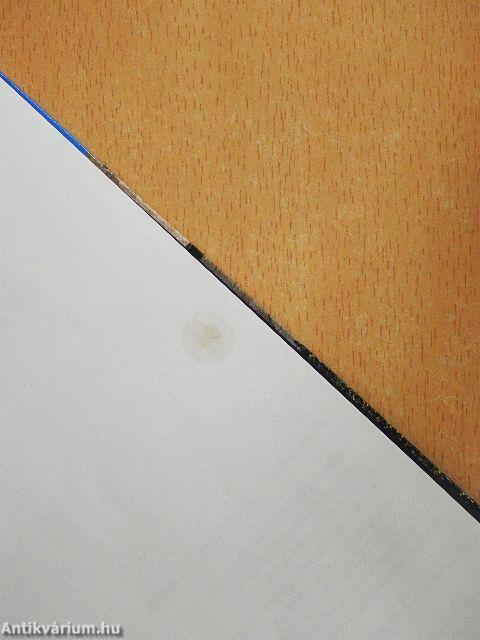 The Knights of Rhodes