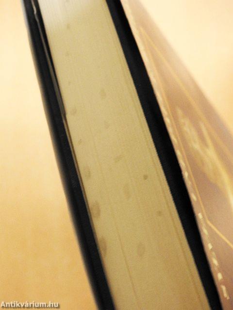 Lexikon der keltischen Mythologie