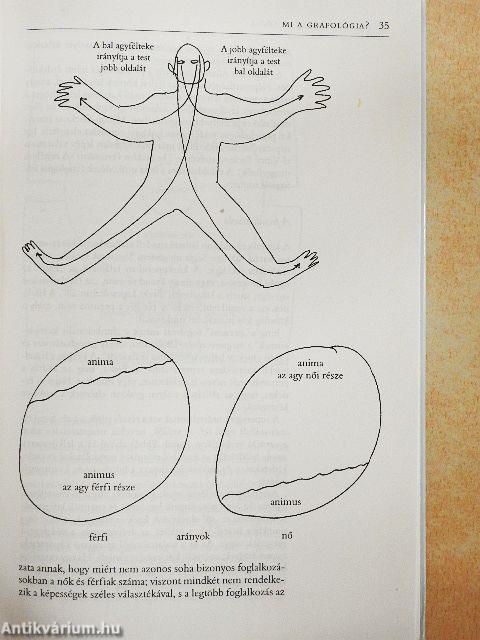 Munkahelyi grafológia