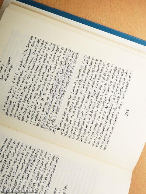 Gondolkodó irodalom