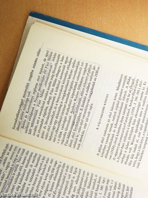 Gondolkodó irodalom