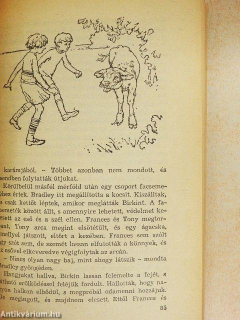 Mi legyen a borjúval?