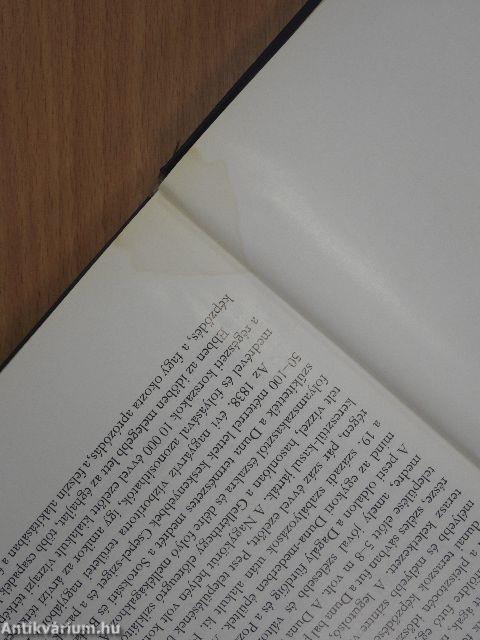 Pesterzsébet, Soroksár Budapest XX. kerületének múltja és jelene