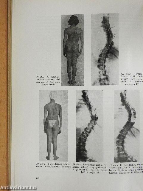 Az orthopaedia tankönyve