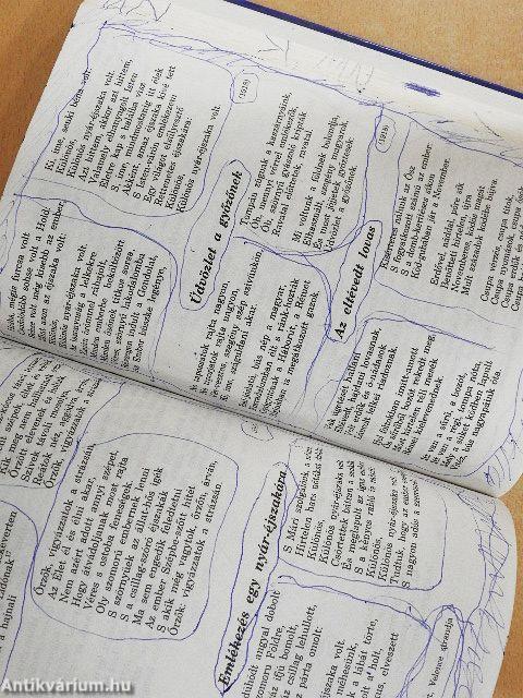 Irodalmi szöveggyűjtemény