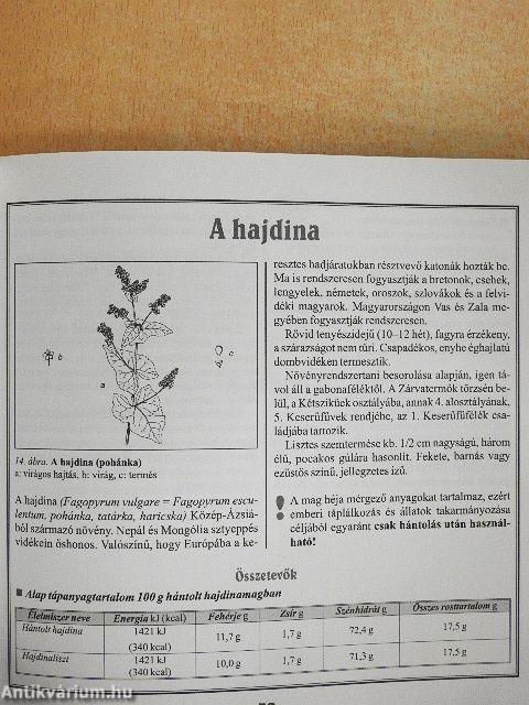 Diétás ételek gabonából