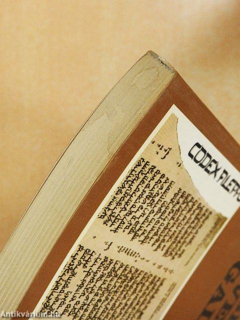 Bibliai nevek és fogalmak