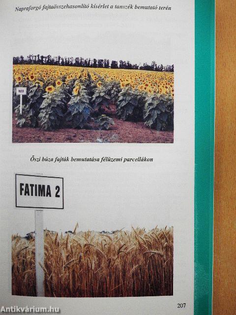 A Mezőgazdasági Mérnök Szak jubiláló tanszékeinek 10 éve