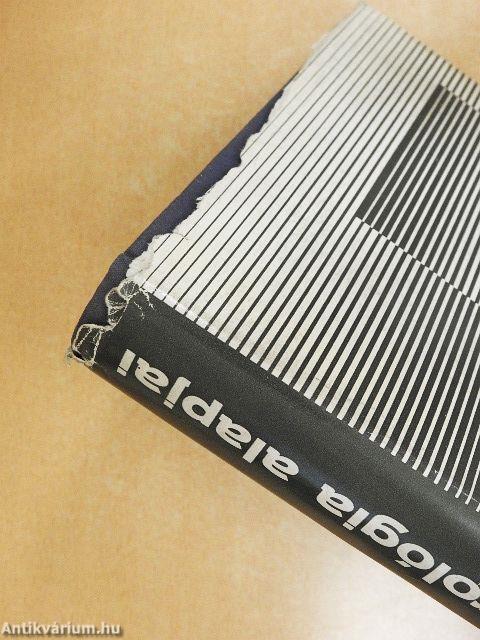 A klinikai neurológia alapjai