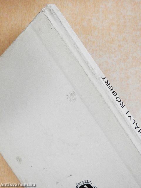 Csikszentmihályi Róbert