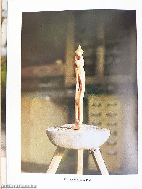 Csikszentmihályi Róbert