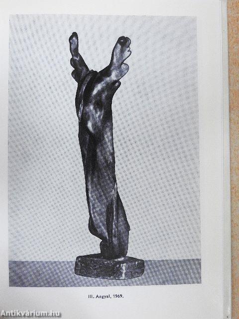 Csikszentmihályi Róbert