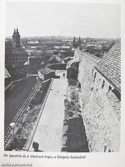 Eger - A vár hadi története